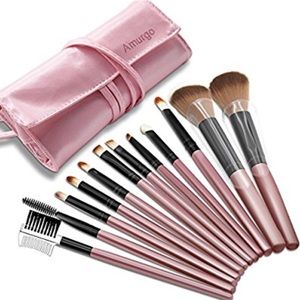 12 piece makeup brush set with case
